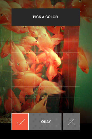 Goldfish Music Box