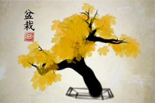 iBonsai